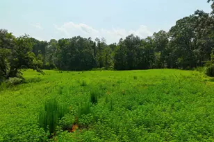 3961 Forrester Rd, Greer, SC 29651 - Photo 11