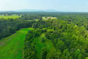3961 Forrester Rd, Greer, SC 29651 - Photo 33
