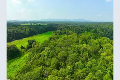 3961 Forrester Road, Greer, SC 29651 - Photo 31