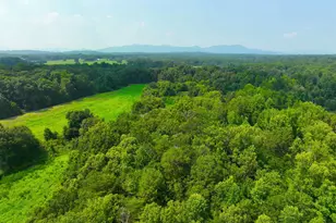 3961 Forrester Rd, Greer, SC 29651 - Photo 31