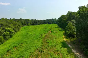 3961 Forrester Rd, Greer, SC 29651 - Photo 9