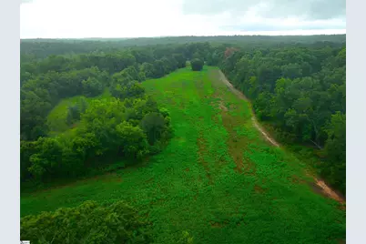 3961 Forrester Road, Greer, SC 29651 - Photo 9