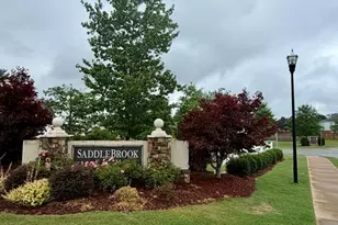 214 Mint Julep Ct, Greer, SC 29651 - Photo 23