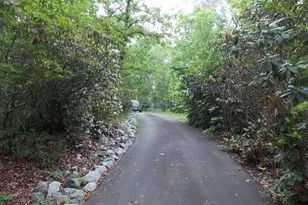 512 Doe Run, Pickens, SC 29671 - Photo 43