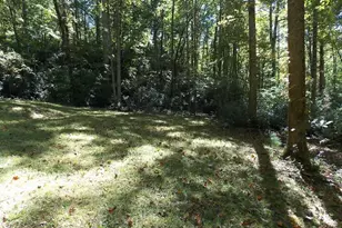 512 Doe Run, Pickens, SC 29671 - Photo 45