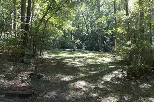 512 Doe Run, Pickens, SC 29671 - Photo 49
