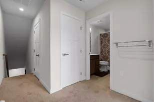 206 Copper Hill Run, Greenville, SC 29611 - Photo 19