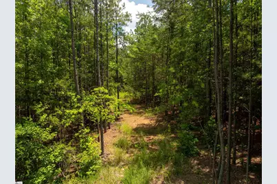 14 Sloan Lake Road, Woodruff, SC 29388 - Photo 15