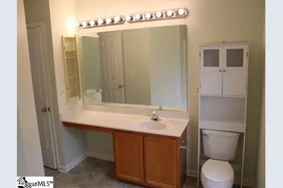 255 Highgate Circle, Greer, SC 26650 - Photo 17