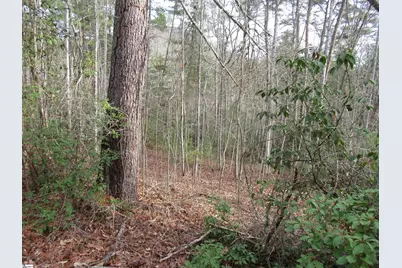 116 Fireside Lane, Pickens, SC 29671 - Photo 25