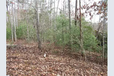 116 Fireside Lane, Pickens, SC 29671 - Photo 17