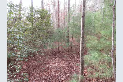 116 Fireside Lane, Pickens, SC 29671 - Photo 15