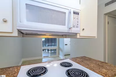 311 W Earle Street, Greenville, SC 29609 - Photo 11
