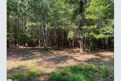 88 Neely Ferry Road, Gray Court, SC 29645 - Photo 35