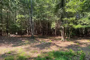 88 Neely Ferry Rd, Gray Court, SC 29645 - Photo 35