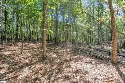 0 Linder Road, Gaffney, SC 29341 - Photo 3