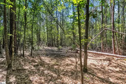 0 Linder Road, Gaffney, SC 29341 - Photo 9