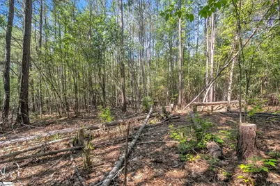 0 Linder Road, Gaffney, SC 29341 - Photo 11