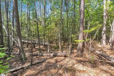 0 Linder Road, Gaffney, SC 29341 - Photo 5
