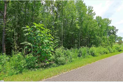 Tbd Byars Farm Road, Gaffney, SC 29341 - Photo 3