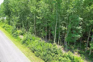 Tbd Byars Farm Rd, Gaffney, SC 29341 - Photo 1