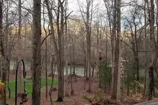 123 Birch River Rd, Greenville, SC 29611 - Photo 43