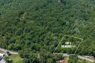 0 Trammell Rd, Travelers Rest, SC 29690 - Photo 1