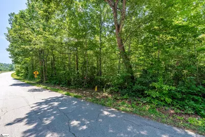 00 Trammell Road #Lot 2, Travelers Rest, SC 29690 - Photo 3
