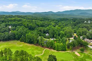 9 Silkvine Ct, Travelers Rest, SC 29690 - Photo 43