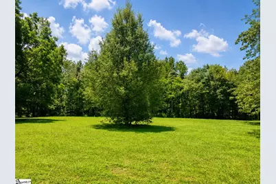 170 Cooper Road, Campobello, SC 29322 - Photo 25
