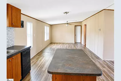 170 Cooper Road, Campobello, SC 29322 - Photo 11