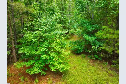 162 Sarah Simpson Road, Iva, SC 29655 - Photo 13