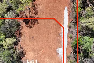 325 Goodwin Rd, Travelers Rest, SC 29690 - Photo 1