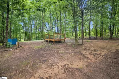 3501 Apple Orchard Road, Clinton, SC 29325 - Photo 45