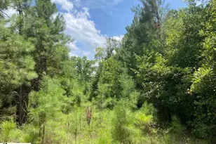 00 Vanboklen Rd, Eastover, SC 29044 - Photo 1
