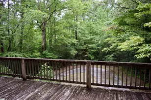 173 Mountain Haven Ln, Zirconia, NC 28790 - Photo 29