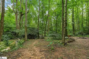 340 Camperdown Ct, Easley, SC 29642 - Photo 41