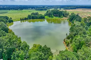 11015 Bush River Rd, Kinards, SC 29355 - Photo 31