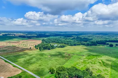 11015 Bush River Road, Kinards, SC 29355 - Photo 35