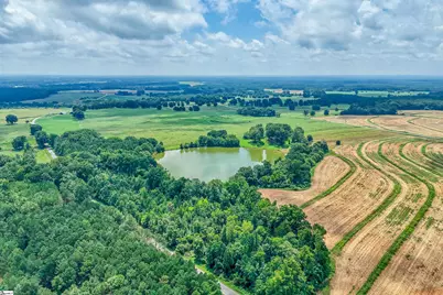 11015 Bush River Road, Kinards, SC 29355 - Photo 41