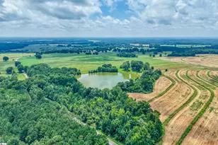 11015 Bush River Rd, Kinards, SC 29355 - Photo 41