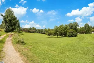 410 Ray Blackley Rd, Inman, SC 29349 - Photo 37