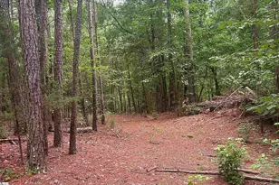 0 Harris Springs Rd, Cross Hill, SC 29332 - Photo 1