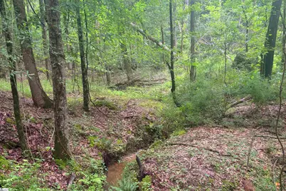 0 Harris Springs Road, Cross Hill, SC 29332 - Photo 3