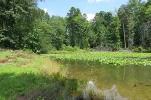73 Lebanon Ct, Greer, SC 29651 - Photo 33