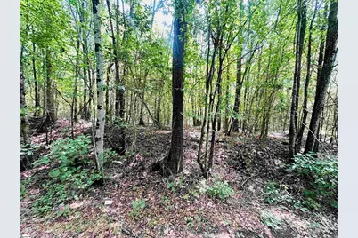 [Address not provided], Laurens, SC 29360 - Photo 7