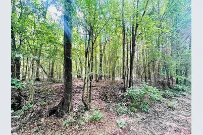 [Address not provided], Laurens, SC 29360 - Photo 5