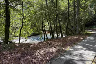 303 Pelham Falls Dr, Greer, SC 29651 - Photo 27