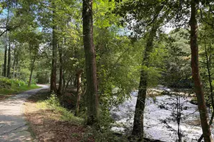 303 Pelham Falls Dr, Greer, SC 29651 - Photo 29