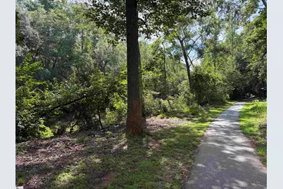 303 Pelham Falls Drive, Greer, SC 29651 - Photo 27